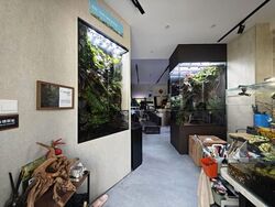 Geylang Road (D14), Shop House #600640171